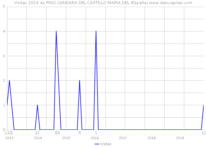 Visitas 2024 de PINO GANDARA DEL CASTILLO MARIA DEL (España) 