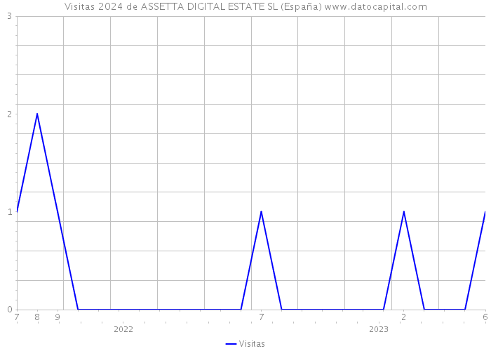 Visitas 2024 de ASSETTA DIGITAL ESTATE SL (España) 
