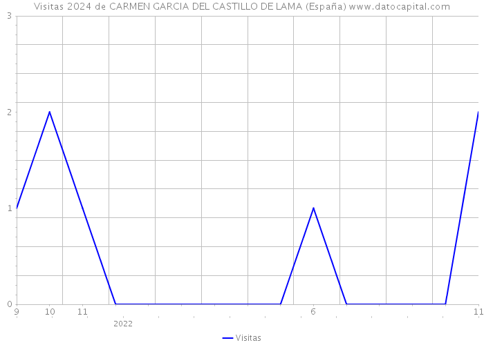 Visitas 2024 de CARMEN GARCIA DEL CASTILLO DE LAMA (España) 