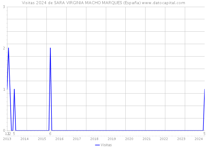 Visitas 2024 de SARA VIRGINIA MACHO MARQUES (España) 