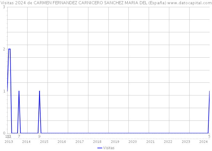 Visitas 2024 de CARMEN FERNANDEZ CARNICERO SANCHEZ MARIA DEL (España) 
