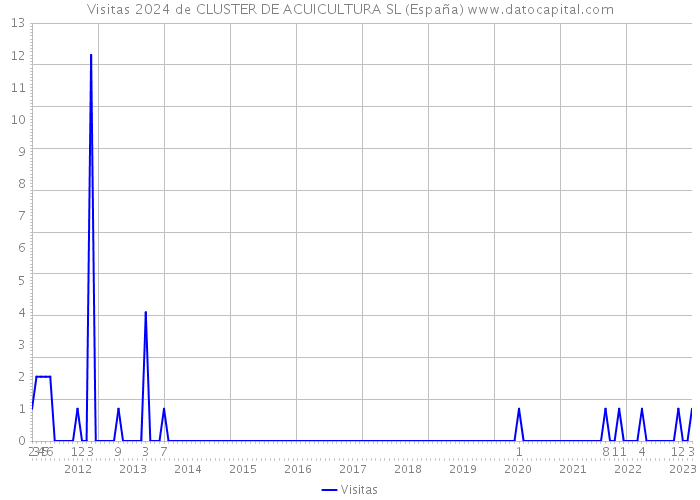 Visitas 2024 de CLUSTER DE ACUICULTURA SL (España) 