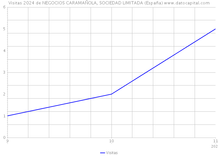 Visitas 2024 de NEGOCIOS CARAMAÑOLA, SOCIEDAD LIMITADA (España) 