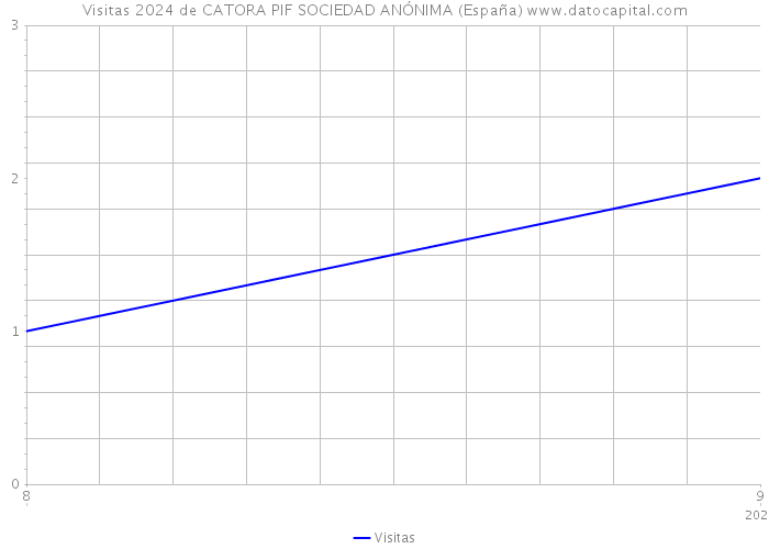 Visitas 2024 de CATORA PIF SOCIEDAD ANÓNIMA (España) 