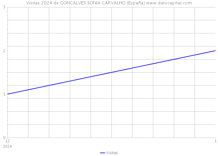 Visitas 2024 de GONCALVES SONIA CARVALHO (España) 