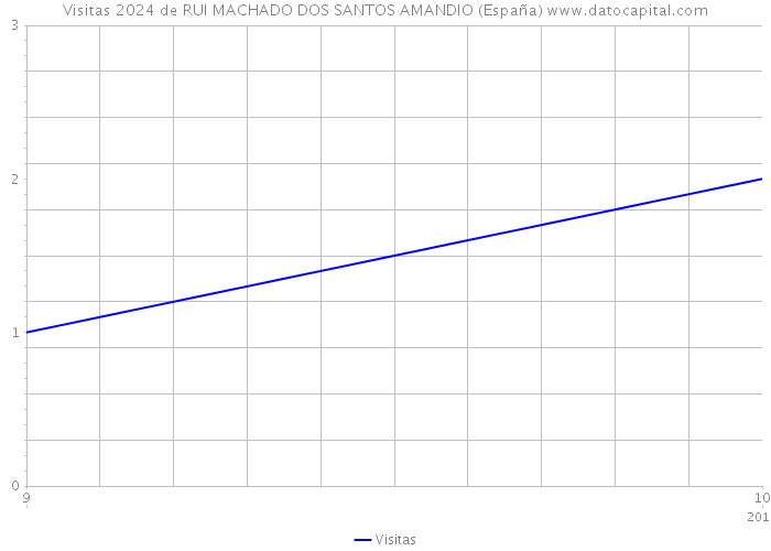 Visitas 2024 de RUI MACHADO DOS SANTOS AMANDIO (España) 