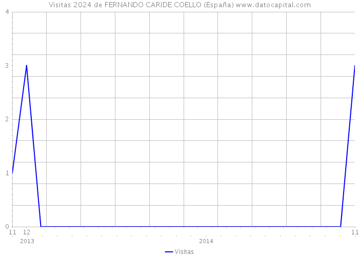 Visitas 2024 de FERNANDO CARIDE COELLO (España) 