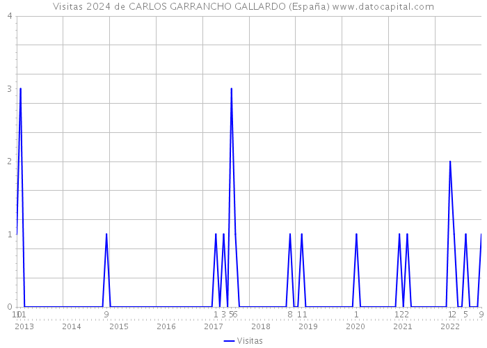 Visitas 2024 de CARLOS GARRANCHO GALLARDO (España) 