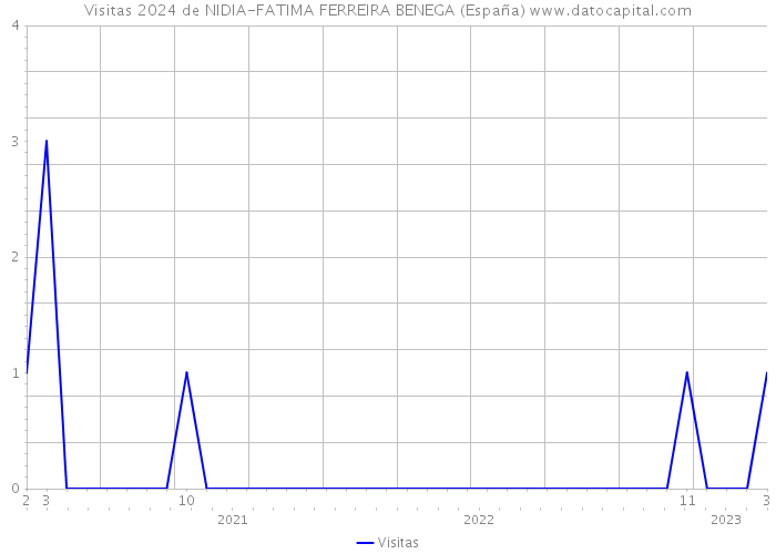 Visitas 2024 de NIDIA-FATIMA FERREIRA BENEGA (España) 