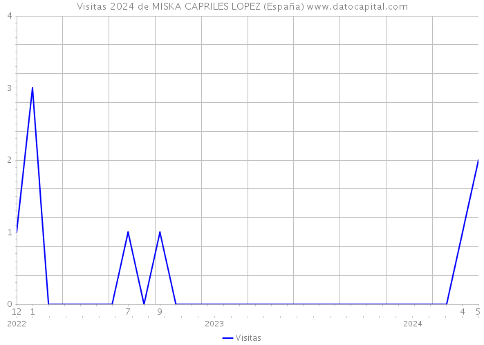 Visitas 2024 de MISKA CAPRILES LOPEZ (España) 