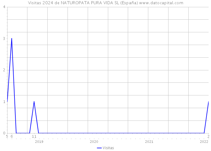 Visitas 2024 de NATUROPATA PURA VIDA SL (España) 