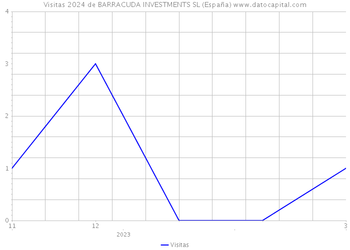 Visitas 2024 de BARRACUDA INVESTMENTS SL (España) 