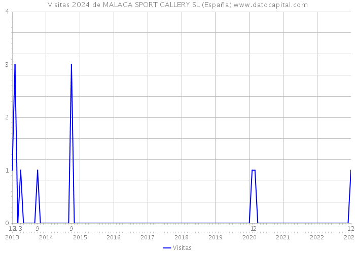 Visitas 2024 de MALAGA SPORT GALLERY SL (España) 