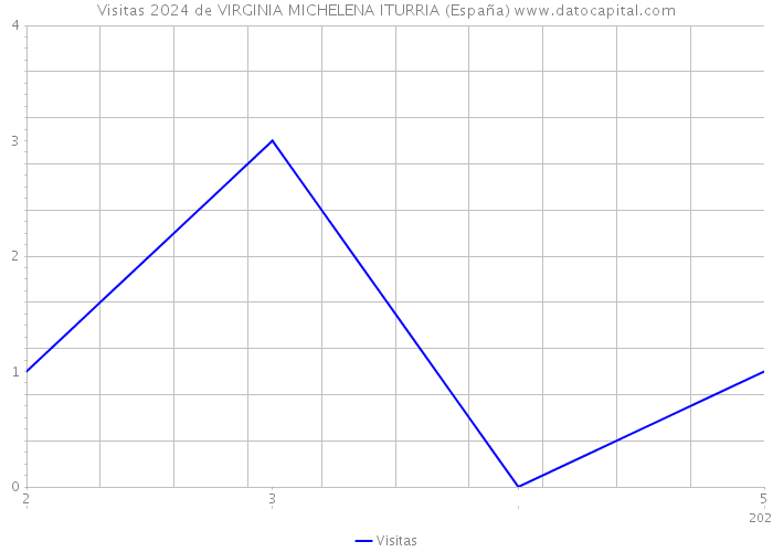 Visitas 2024 de VIRGINIA MICHELENA ITURRIA (España) 