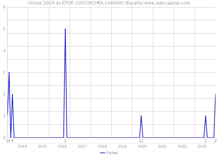Visitas 2024 de ETOR GOICOECHEA LABIANO (España) 