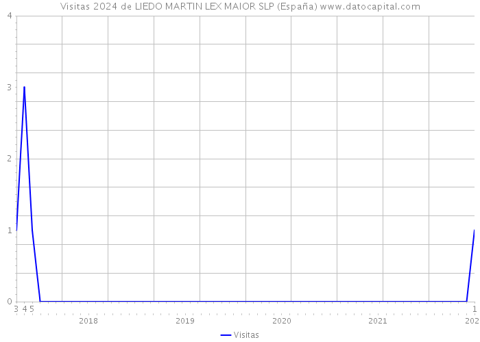 Visitas 2024 de LIEDO MARTIN LEX MAIOR SLP (España) 