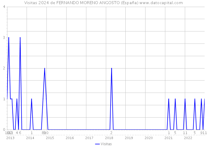 Visitas 2024 de FERNANDO MORENO ANGOSTO (España) 