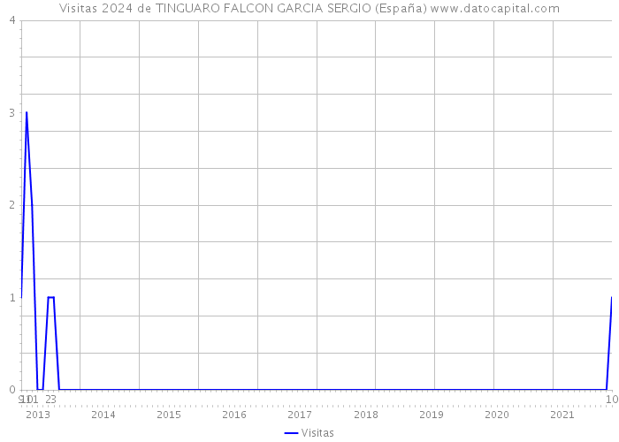 Visitas 2024 de TINGUARO FALCON GARCIA SERGIO (España) 