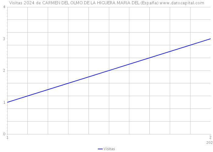 Visitas 2024 de CARMEN DEL OLMO DE LA HIGUERA MARIA DEL (España) 