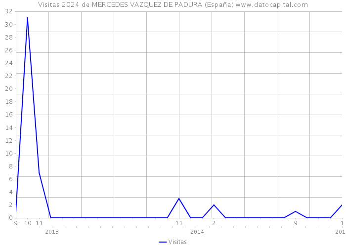 Visitas 2024 de MERCEDES VAZQUEZ DE PADURA (España) 