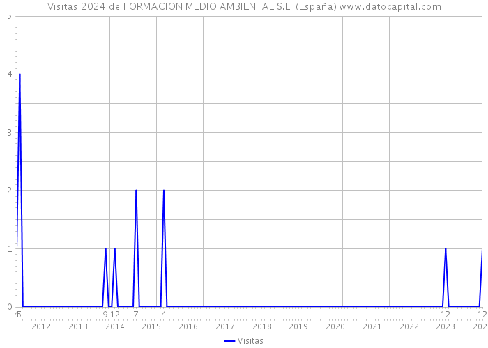 Visitas 2024 de FORMACION MEDIO AMBIENTAL S.L. (España) 