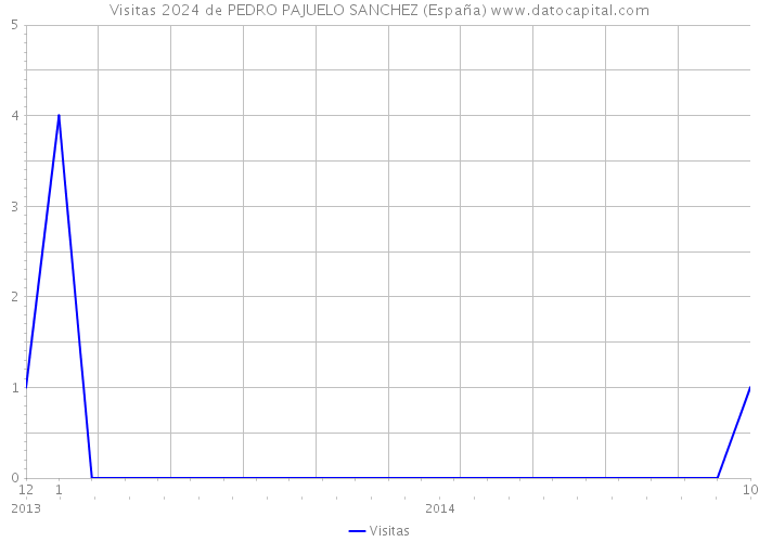 Visitas 2024 de PEDRO PAJUELO SANCHEZ (España) 