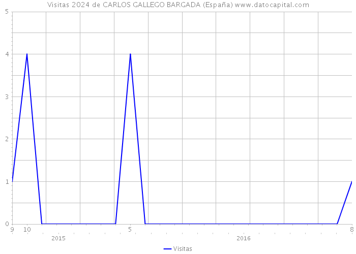 Visitas 2024 de CARLOS GALLEGO BARGADA (España) 