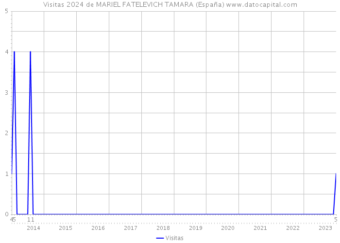 Visitas 2024 de MARIEL FATELEVICH TAMARA (España) 