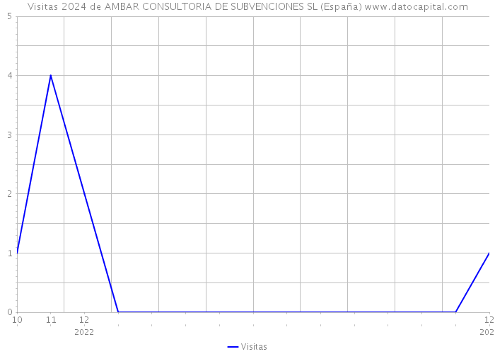 Visitas 2024 de AMBAR CONSULTORIA DE SUBVENCIONES SL (España) 