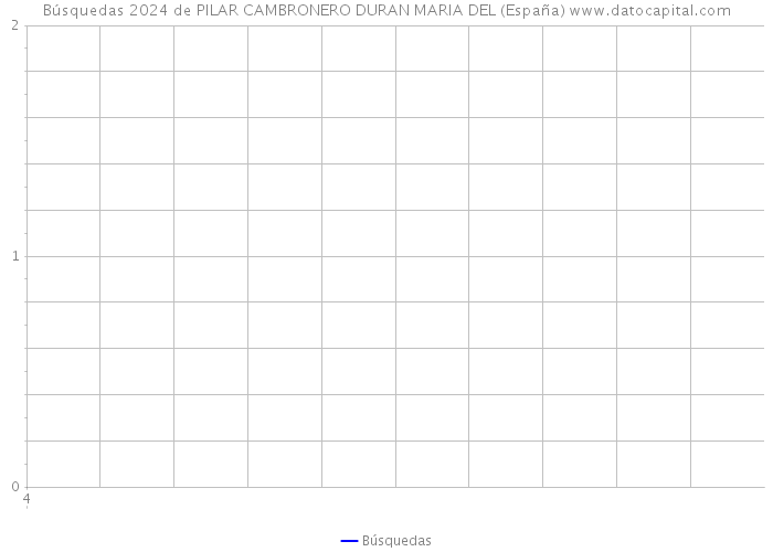 Búsquedas 2024 de PILAR CAMBRONERO DURAN MARIA DEL (España) 