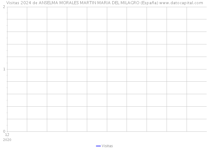 Visitas 2024 de ANSELMA MORALES MARTIN MARIA DEL MILAGRO (España) 