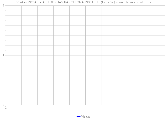 Visitas 2024 de AUTOGRUAS BARCELONA 2001 S.L. (España) 