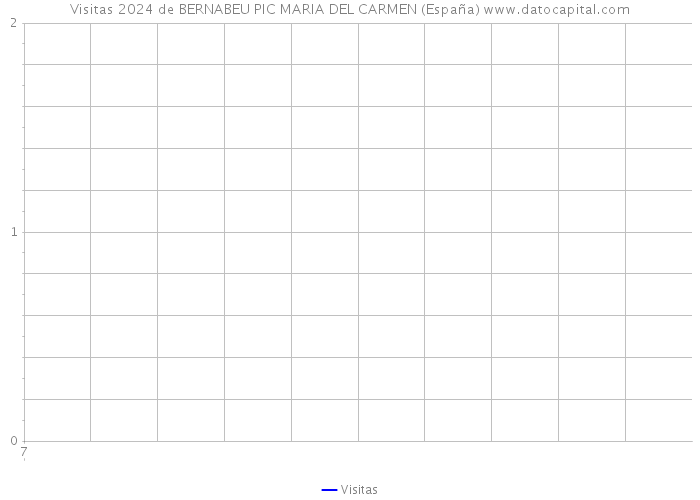 Visitas 2024 de BERNABEU PIC MARIA DEL CARMEN (España) 