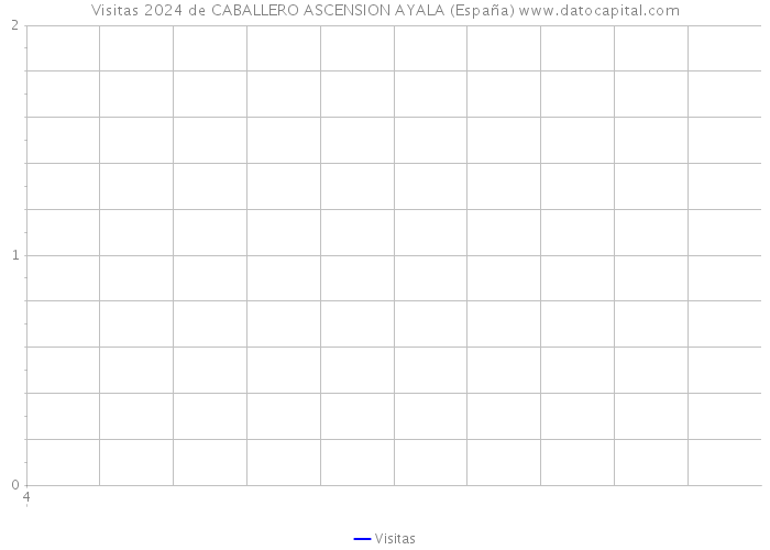Visitas 2024 de CABALLERO ASCENSION AYALA (España) 