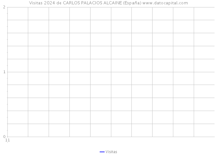 Visitas 2024 de CARLOS PALACIOS ALCAINE (España) 