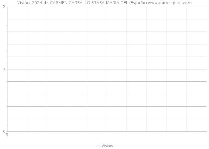 Visitas 2024 de CARMEN CARBALLO BRASA MARIA DEL (España) 