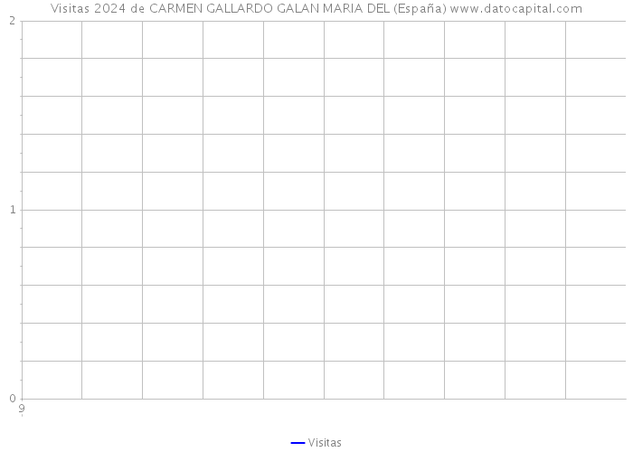 Visitas 2024 de CARMEN GALLARDO GALAN MARIA DEL (España) 