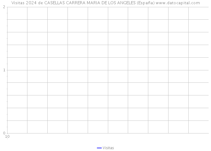 Visitas 2024 de CASELLAS CARRERA MARIA DE LOS ANGELES (España) 