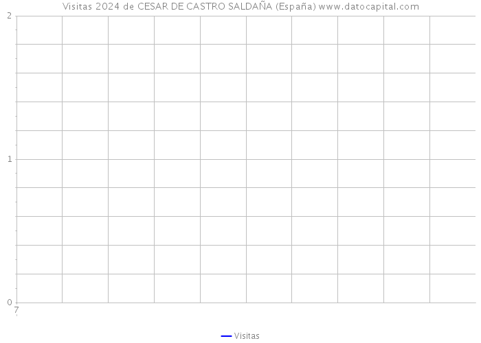Visitas 2024 de CESAR DE CASTRO SALDAÑA (España) 