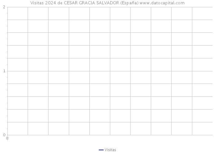 Visitas 2024 de CESAR GRACIA SALVADOR (España) 
