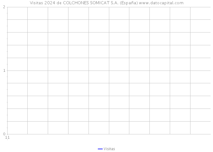 Visitas 2024 de COLCHONES SOMICAT S.A. (España) 