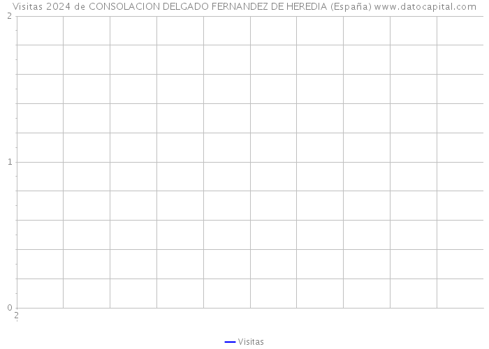 Visitas 2024 de CONSOLACION DELGADO FERNANDEZ DE HEREDIA (España) 