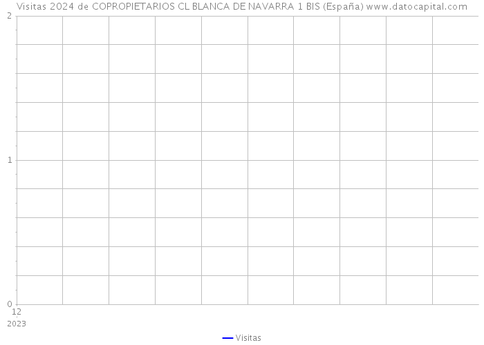 Visitas 2024 de COPROPIETARIOS CL BLANCA DE NAVARRA 1 BIS (España) 