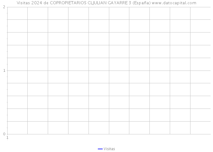 Visitas 2024 de COPROPIETARIOS CLJULIAN GAYARRE 3 (España) 