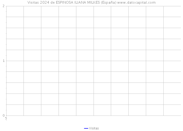 Visitas 2024 de ESPINOSA ILIANA MILKES (España) 