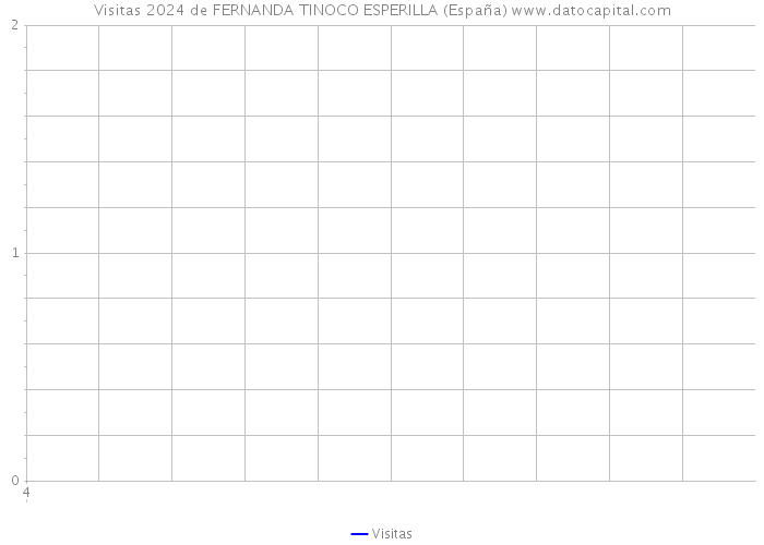 Visitas 2024 de FERNANDA TINOCO ESPERILLA (España) 