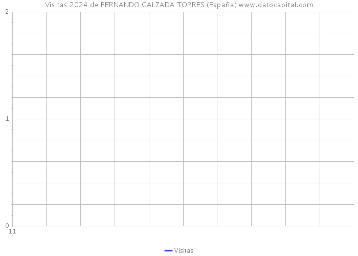 Visitas 2024 de FERNANDO CALZADA TORRES (España) 