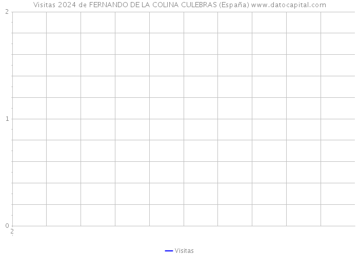 Visitas 2024 de FERNANDO DE LA COLINA CULEBRAS (España) 