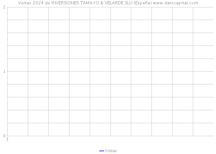 Visitas 2024 de INVERSIONES TAMAYO & VELARDE SLU (España) 