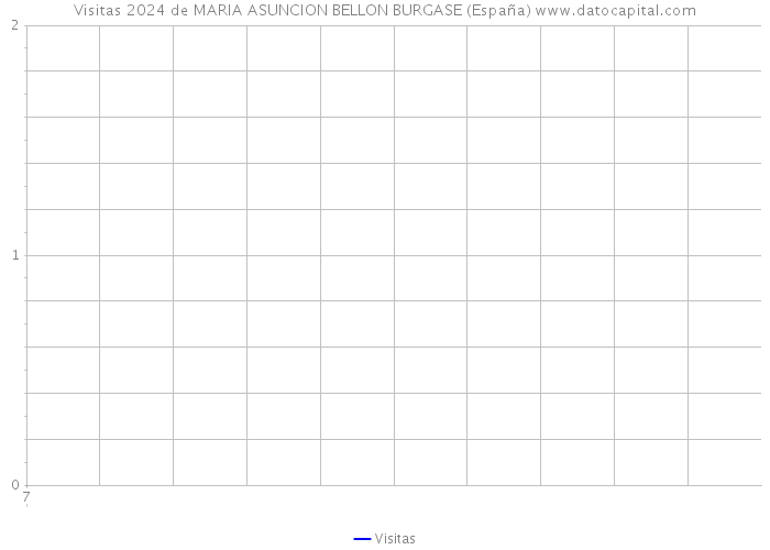 Visitas 2024 de MARIA ASUNCION BELLON BURGASE (España) 